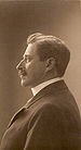 carl_gustaf_verner_von_heidenstam