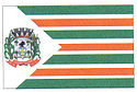 Coronel Vivida